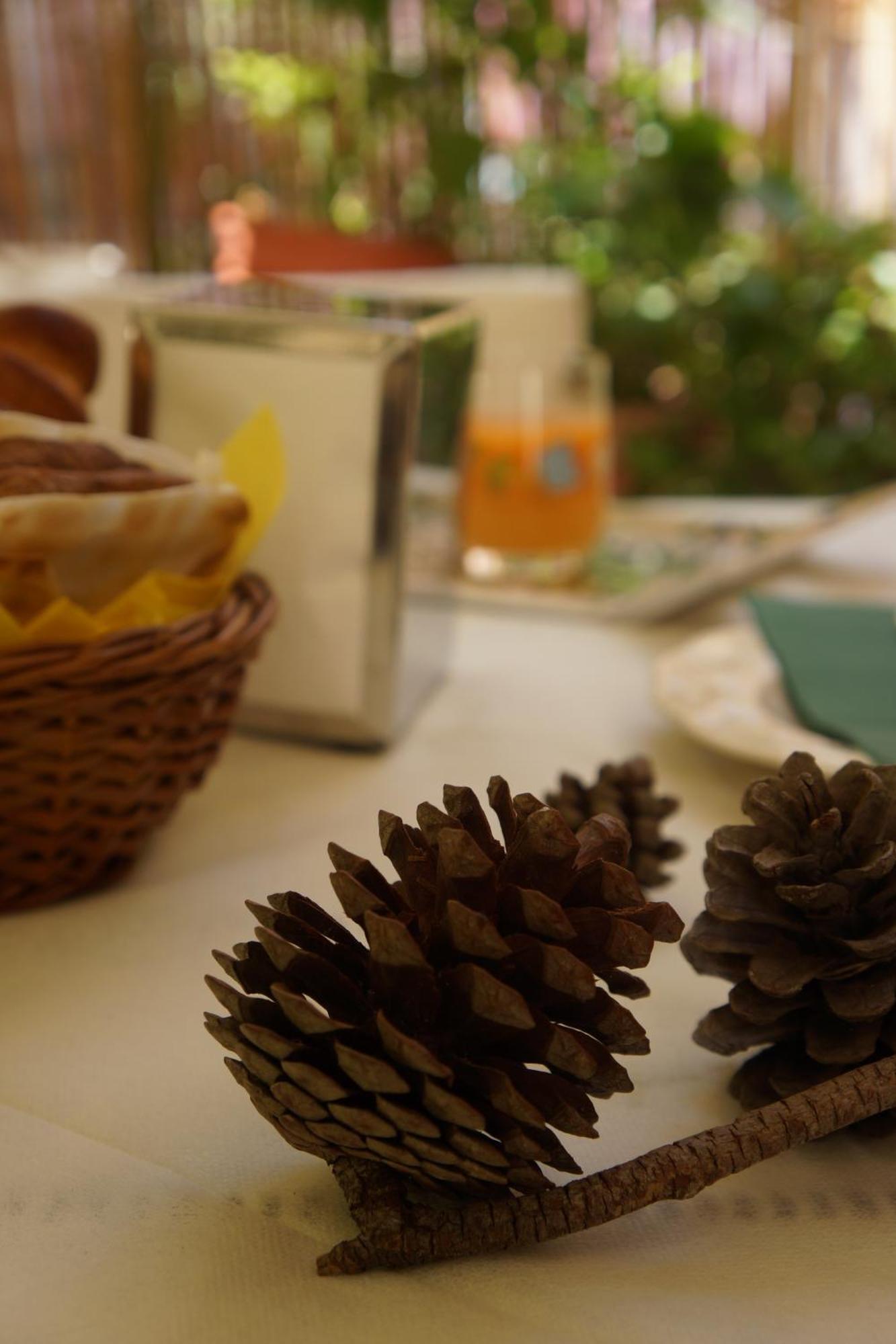 Santa Caterina Da Siena B&B Katania Zewnętrze zdjęcie